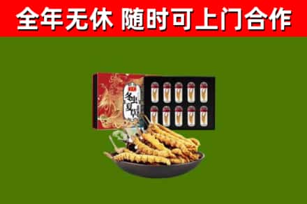 三乡镇回收冬虫夏草价格