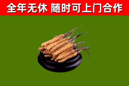 三乡镇烟酒回收冬虫夏草.jpg